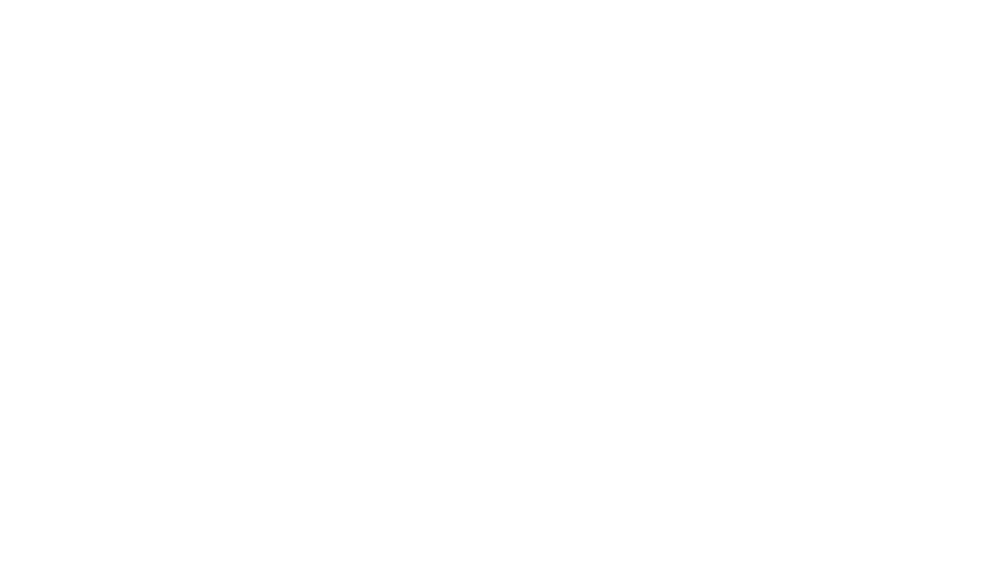 Diecast Culture